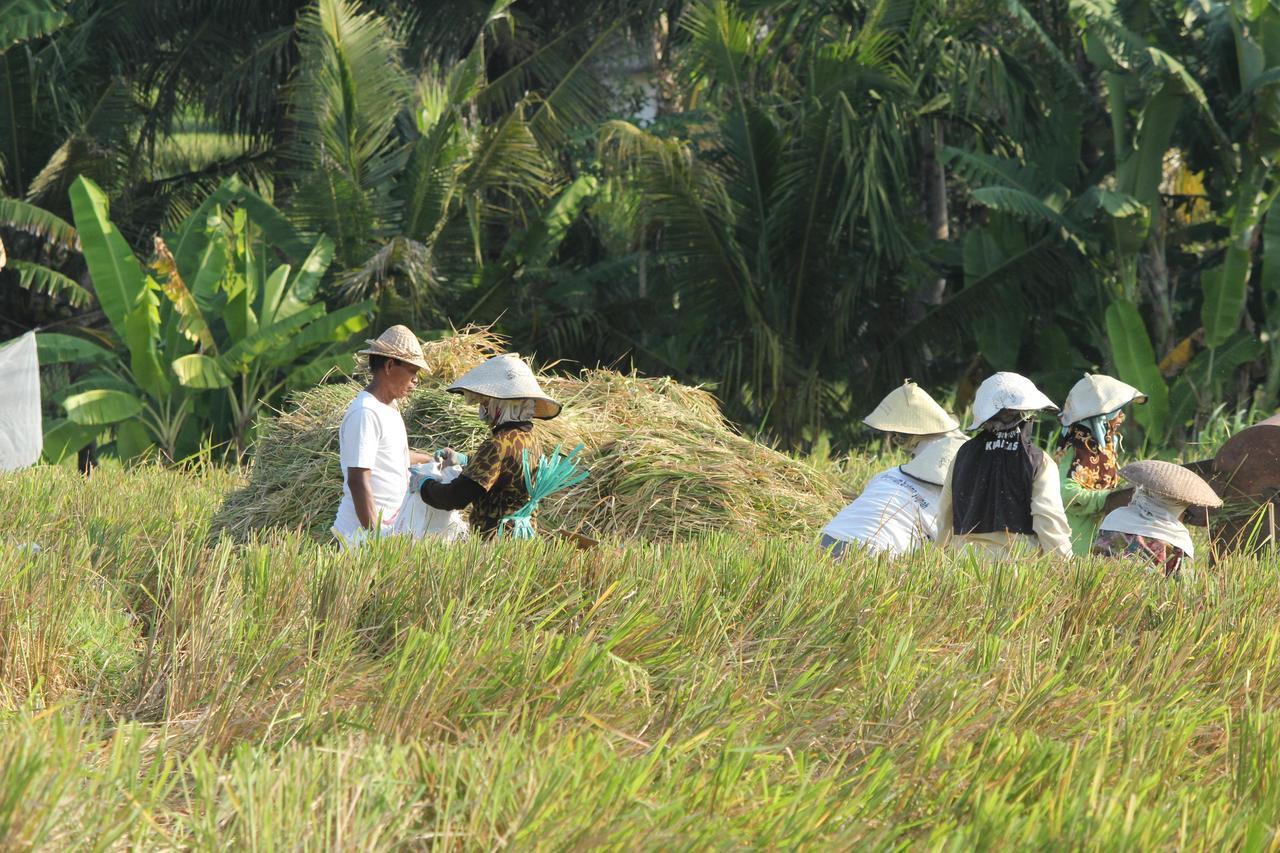 Temuku Keramas Beach Suite ภายนอก รูปภาพ